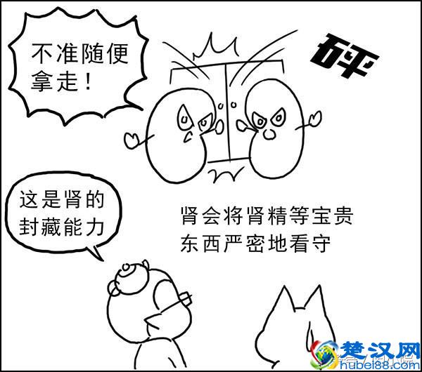 肾阴虚和肾阳虚的区别，乱补身体，小心你的身体健康