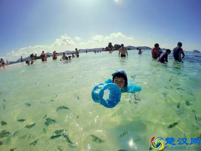 泰国的那些岛，哪个更好玩呢？｜干货