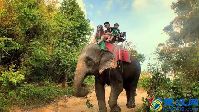 泰国的那些岛，哪个更好玩呢？｜干货