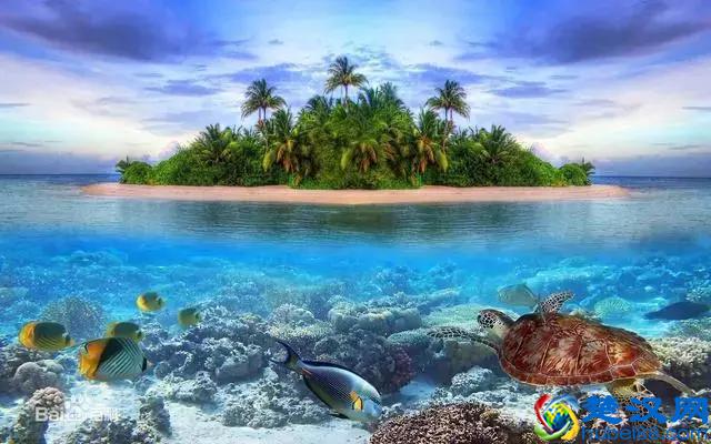 泰国的那些岛，哪个更好玩呢？｜干货