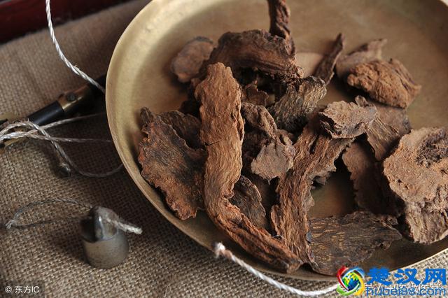 男性补肾壮阳找锁阳