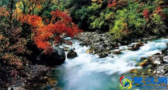 雅安最美的景色都在这里了，你觉得雅安哪里最美呢？