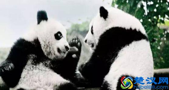 雅安最美的景色都在这里了，你觉得雅安哪里最美呢？