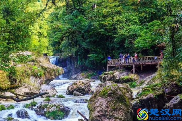 雅安最美的景色都在这里了，你觉得雅安哪里最美呢？