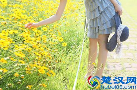 被蜜蜂蛰了怎么办？7种方法告诉你，以备急用！