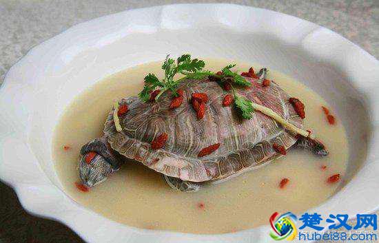 为什么我们只吃甲鱼却不吃乌龟？乌龟不好吃吗？