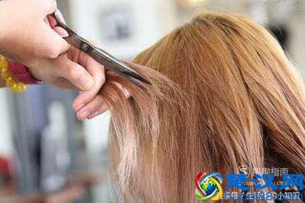 头上长虱子怎么办怎样简便消除？