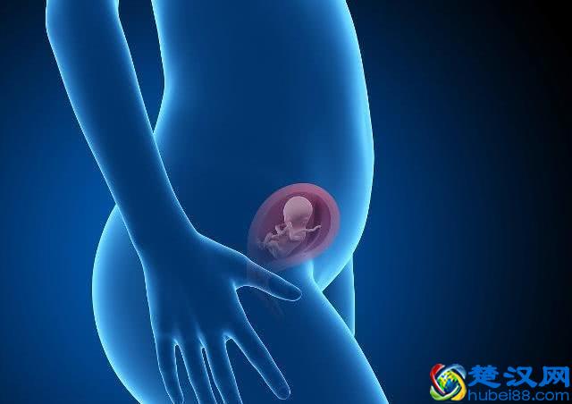 想知道自己有没有“怀孕”？不妨对照一下这3个“怀孕信号”！