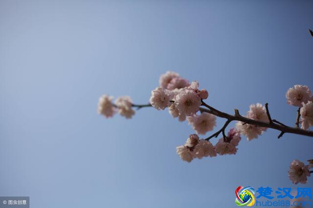 马云告诉你:如何把梳子卖给和尚!