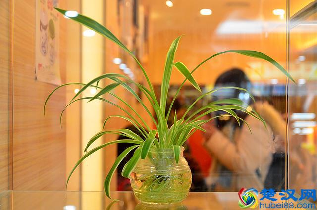 放牛斑--营养好喝的饮品就在放牛斑