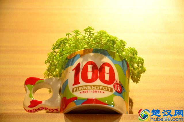 放牛斑--营养好喝的饮品就在放牛斑