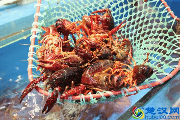 怎样才能成功地筹备一家小餐馆