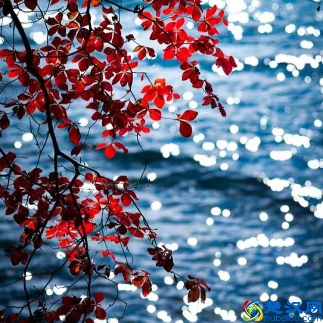 马云告诉你:如何把梳子卖给和尚!