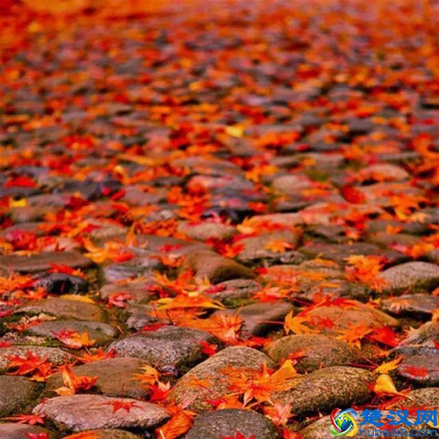 软文代发平台提供代写 不审核真假收费最低数十元