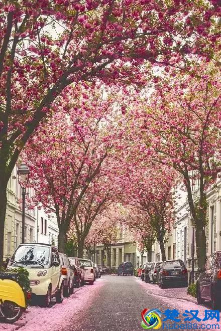 什么是幸福，最美的回答！