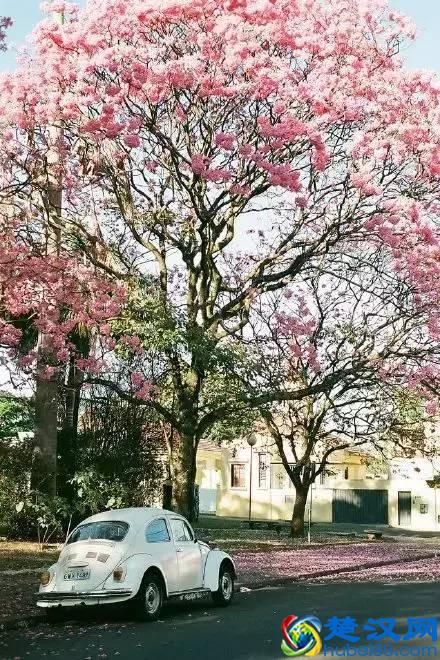 什么是幸福，最美的回答！