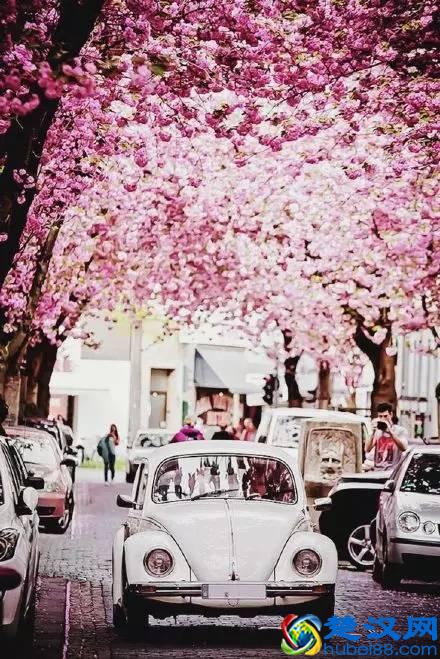 什么是幸福，最美的回答！