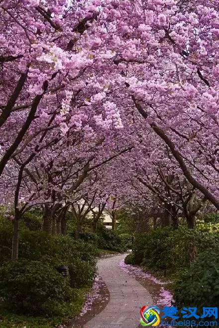 什么是幸福，最美的回答！