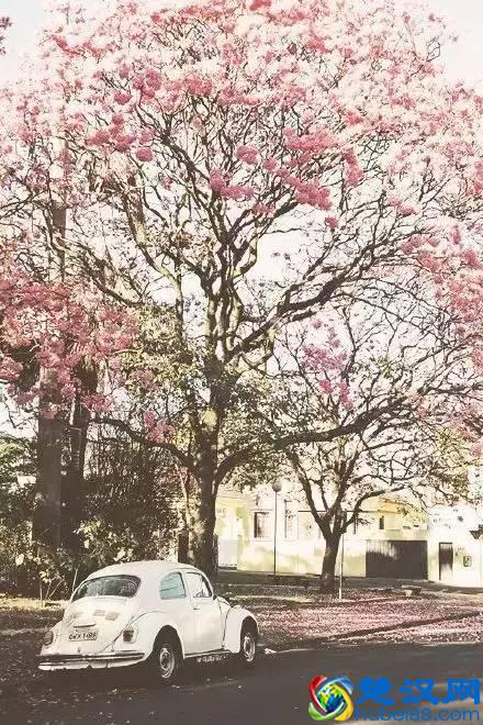 什么是幸福，最美的回答！