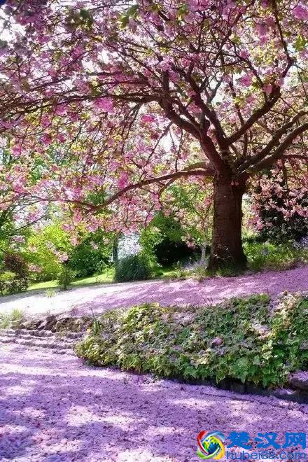 什么是幸福，最美的回答！