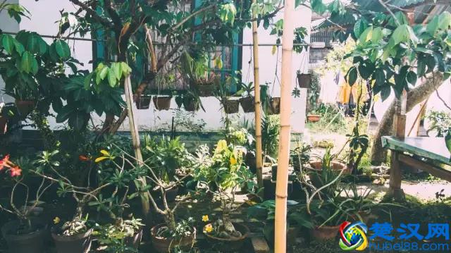 Summer-“巴厘”在印尼语的意思是“再回来”