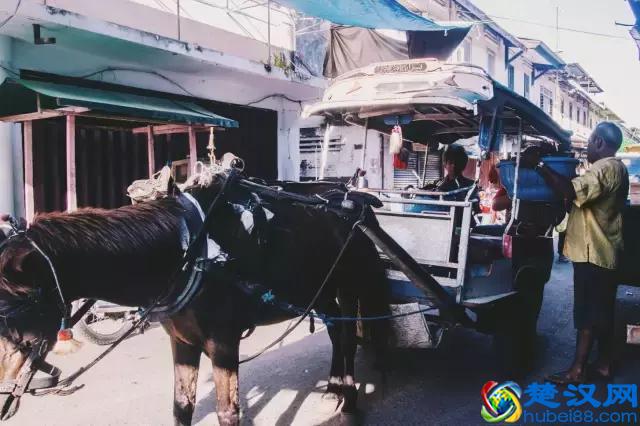 Summer-“巴厘”在印尼语的意思是“再回来”