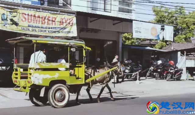 Summer-“巴厘”在印尼语的意思是“再回来”