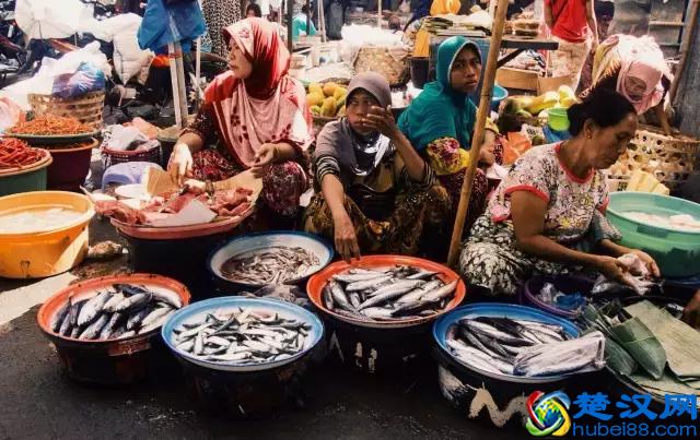 Summer-“巴厘”在印尼语的意思是“再回来”