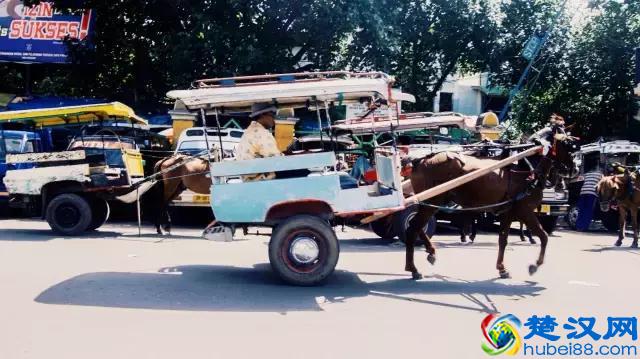 Summer-“巴厘”在印尼语的意思是“再回来”