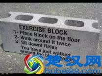 熟词生义D2｜bear到底有多少个意思？