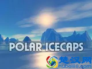 熟词生义D2｜bear到底有多少个意思？