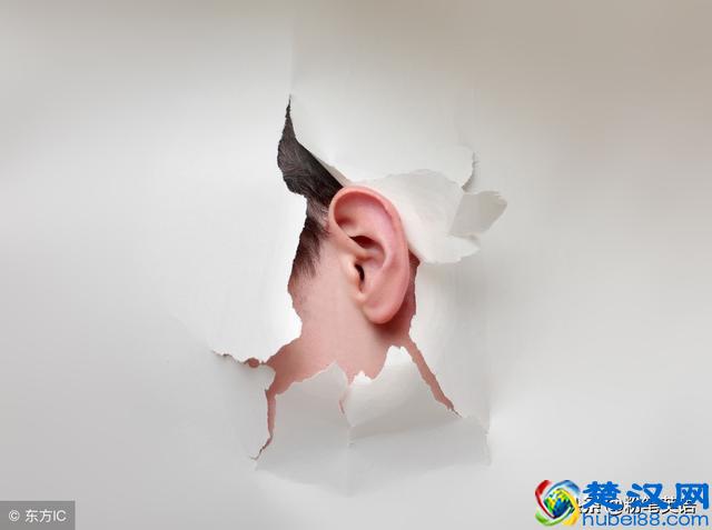 中国网络上最常用的英语单词之一，你知道bug还有这么多意思吗？