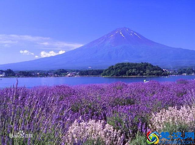 教你几步发外链，纯干货，拿走不谢