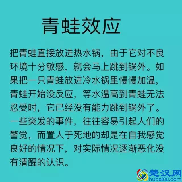 破窗效应、羊群效应、蝴蝶效应……这些你都知道是神马意思吗？