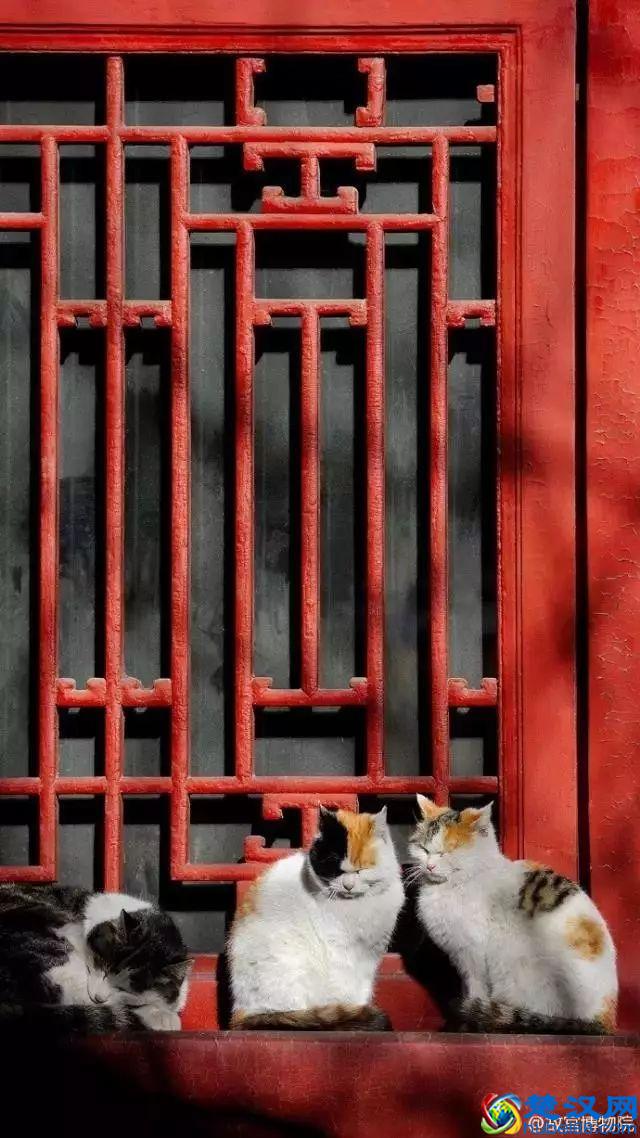 4月，花一开，故宫又美成了御花园！