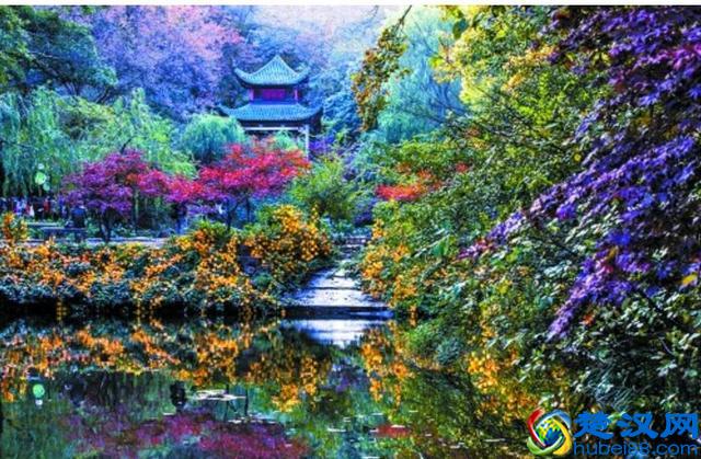 谢婉莹是冰心，那谢冰莹又是谁？