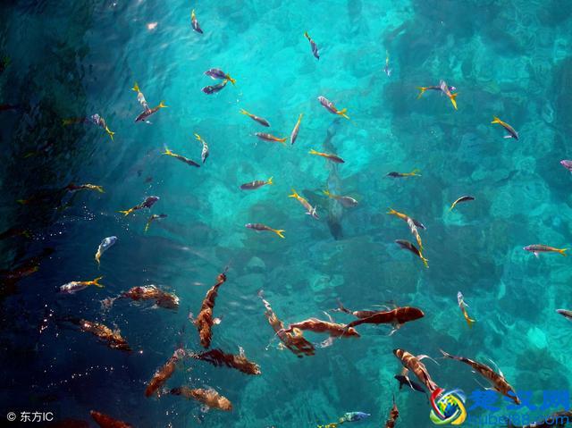 如何正确认识核辐射，什么样的辐射是有害？不要进入辐射的误区！