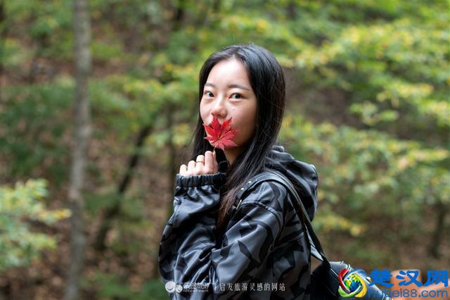 关门山，一片枫叶映红了一个秋季