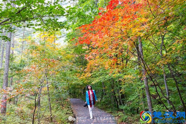 关门山，一片枫叶映红了一个秋季