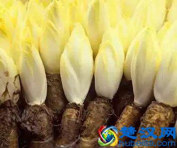 除了会降血糖的辣椒，市场上还有哪些功能性蔬菜？