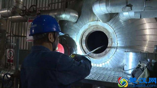 今秋就用艾蒿煮水来泡脚，为什么老中医都要强调泡脚？