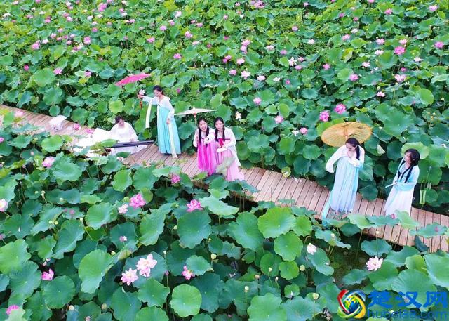 今天农历五月初五 端午节