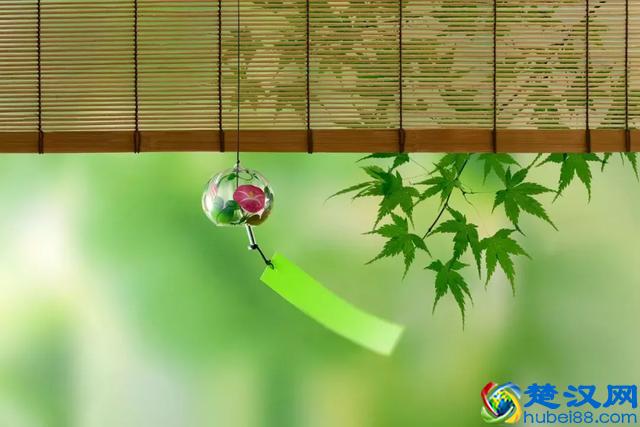 今天农历五月初五 端午节