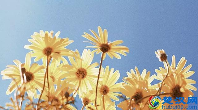 今天农历五月初五 端午节