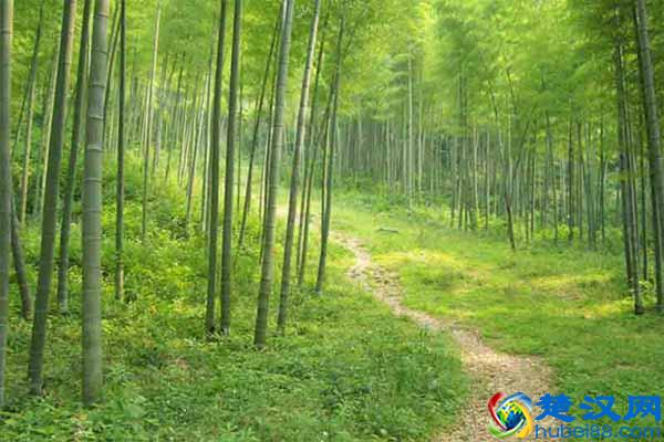 什么叫生态农业?我们离生态农业究竟有多远