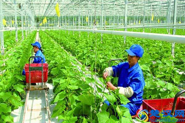 什么叫生态农业?我们离生态农业究竟有多远