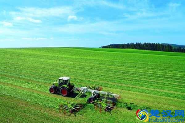 什么叫生态农业?我们离生态农业究竟有多远