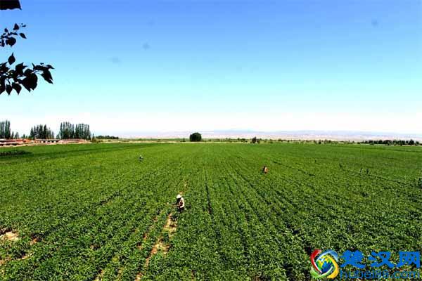 什么叫生态农业?我们离生态农业究竟有多远