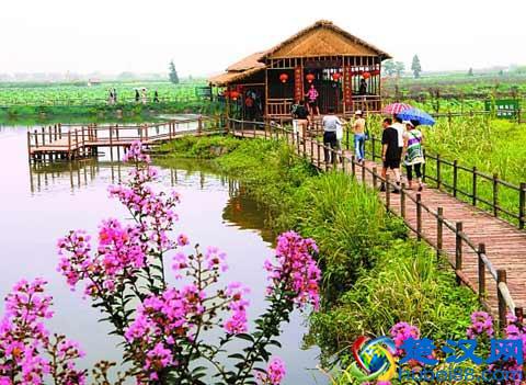 三农是什么？三农政策什么，解读三农，关系每个老百姓的利益。