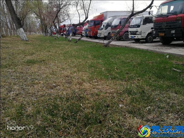 已是4月的下旬，姗姗来迟的新疆春天，仍在寒风中瑟瑟发抖。